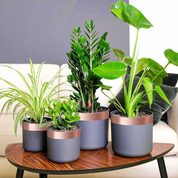 vidaXL Copper Tape 6 pcs Copper 2000 x 5 cm Copper