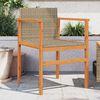 vidaXL Garden Chairs 2 pcs Beige Poly Rattan&Solid Wood