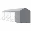 vidaXL Outdoor Dog Kennel with Roof Silver 2x10x2.5 m Galvanised Steel