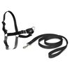 PetSafe Dog Harness Easy Walk M Black