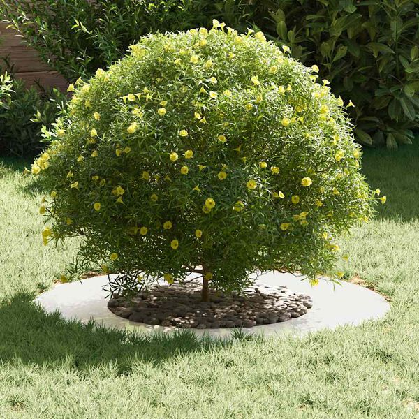 vidaXL suitable for Flat Tree Rings 5 pcs Silver &Oslash;40 / 70 cm