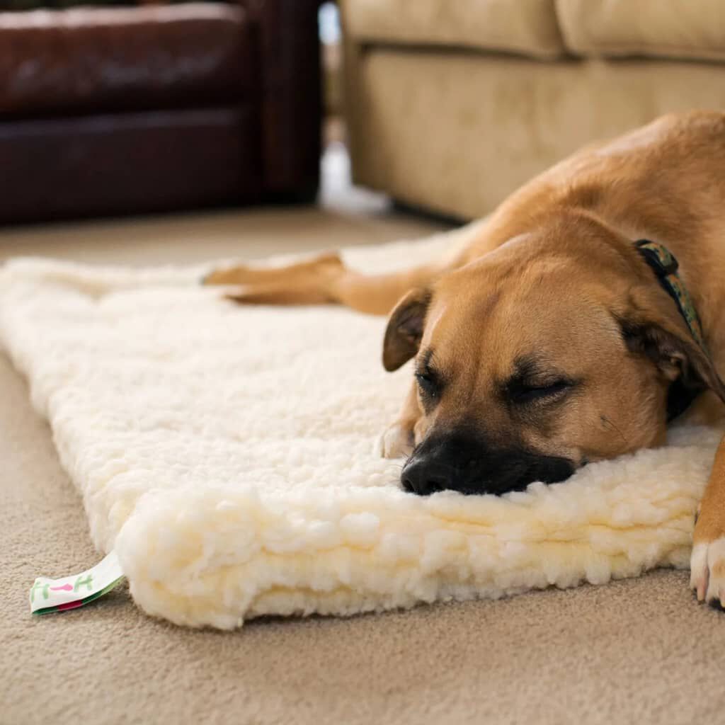 hugglehounds fleece mat