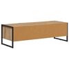 vidaXL TV Cabinet Artisian Oak 100 x 36.5 x 30.5 cm Engineered Wood