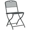vidaXL Garden Chairs Folding 2 pcs Anthracite 52.5 x 46 x 82 cm Iron