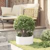 Product Thumbnail Image 4 of 10