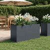 Product Thumbnail Image 2 of 7