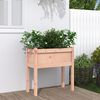 vidaXL Garden Planter with Legs 70x31x70 cm Solid Wood Douglas