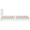 Product Thumbnail Image 8 of 12