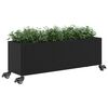 Product Thumbnail Image 4 of 12