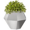 vidaXL Planter 2 pcs Silver 75 x 75 x 60 cm Stainless Steel