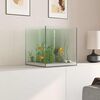 vidaXL Aquarium with Storage Transparent 30 x 30 x 30 cm Glass