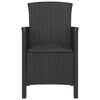 vidaXL Garden Chairs 2 pcs with Cushions PP Rattan Graphite