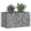 vidaXL Gabion Raised Bed Silver 100 x 60 x 55 cm Galvanised Steel
