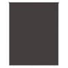 vidaXL Outdoor Roller Blind UV Protection Anthracite