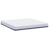 vidaXL Mattress White and Blue 200 x 200 cm Gel Memory Foam