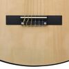 vidaXL Classical Guitar for Beginner with Bag 3/4 36"