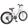 vidaXL Mountain Bike 24'' 6-Speed for 8-12 Years Old White