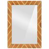 vidaXL Bathroom Mirror Brown 50x70x3 cm Solid Wood Mango and Glass