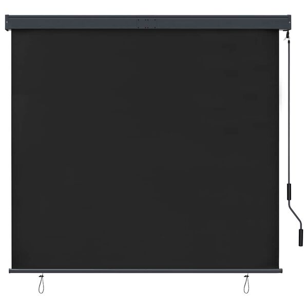 vidaXL Outdoor Roller Blind 160x250 cm Anthracite