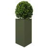 Product Thumbnail Image 3 of 10