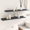 vidaXL Floating Shelf 2 pcs Anthracite 80 x 18 x 2.5 cm Steel