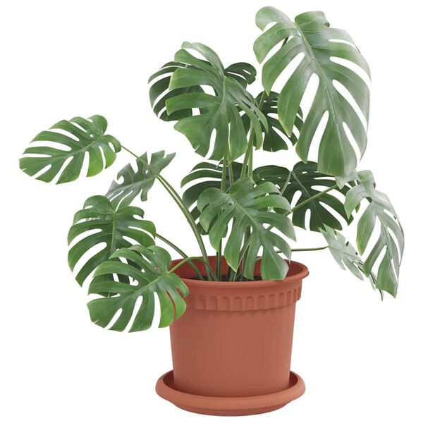 vidaXL Round Flower Tray 6 pcs Brick Red &Oslash; 14 x 2 cm Plastic