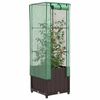 Product Thumbnail Image 2 of 9