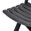 vidaXL Folding Garden Chairs 2 pcs Plastic Anthracite
