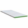 vidaXL Mattress Pads White and Green 70 x 200 cm