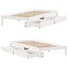 Product Thumbnail Image 9 of 11