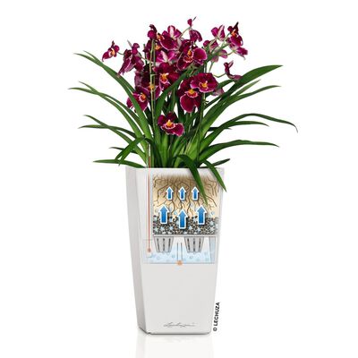 LECHUZA Planter Cubico 22 ALL-IN-ONE High-gloss White