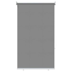 vidaXL Outdoor Roller Blind UV Protection Light Grey Polyester