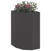 Product Thumbnail Image 3 of 12