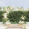 vidaXL Wedding Arch Gold 220 x 45 x 200 cm Steel