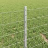 Product Thumbnail Image 4 of 14