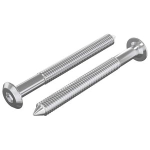 vidaXL Furniture Screws 2 pcs Silver M6 x 60 mm Steel