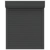 vidaXL Roller Shutter Aluminium 70x100 cm Anthracite