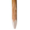 Product Thumbnail Image 2 of 3