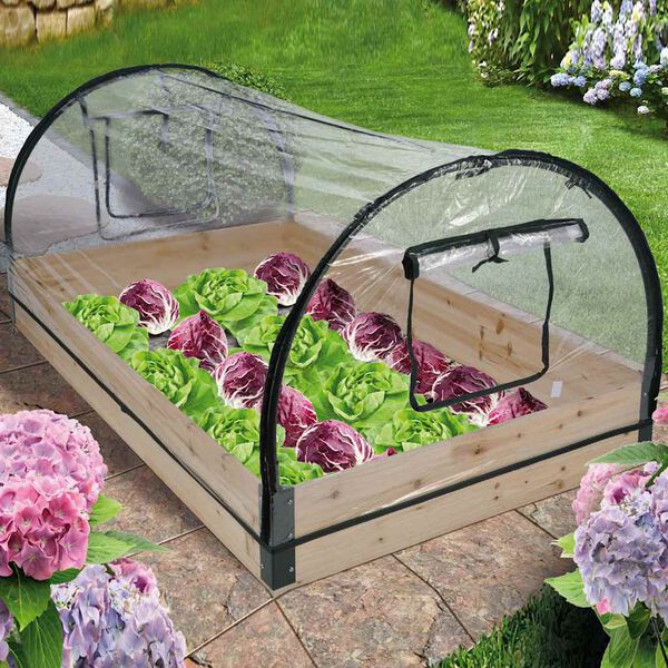 Showing Product Image 1 of 2