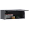 vidaXL Wall Cabinet for Garage with Gas-lift Door Anthracite