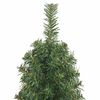 Product Thumbnail Image 4 of 7