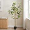 Product Thumbnail Image 2 of 7