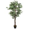 vidaXL Artificial Ficus Tree 1008 Leaves 180 cm Green