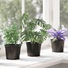 Product Thumbnail Image 5 of 11