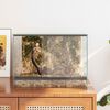 Product Thumbnail Image 4 of 12