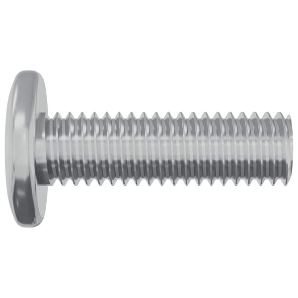 vidaXL Screw 2 pcs Silver 8 x 25 mm Steel