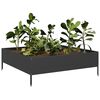 Product Thumbnail Image 3 of 10