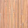vidaXL Bamboo Fence 150x400 cm