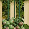 Product Thumbnail Image 2 of 5
