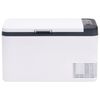 vidaXL Cool Box with Handle Black and White 25 L PP & PE